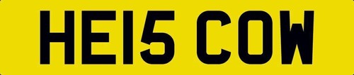 Cow cherished number - cow,